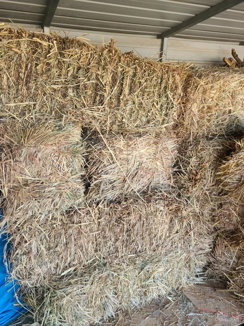 Haygrazer Square Bale Feeder – Heavy-Duty Hay Dispenser 1