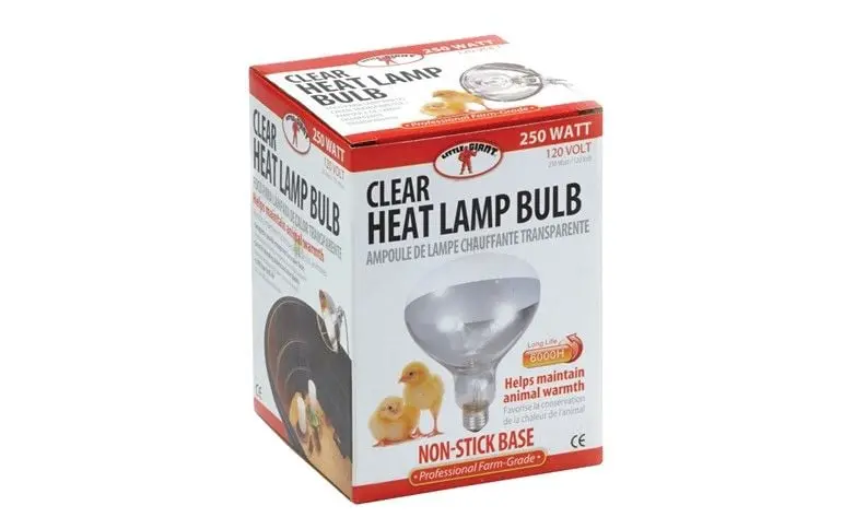 Little Giant Clear 250W Heat Lamp – Infrared Brooder Bulb 1