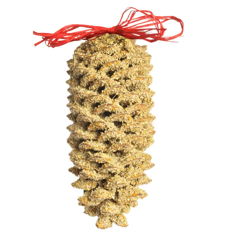 Mr. Bird Seed Giant Pine Cone Wild Bird Treat 1